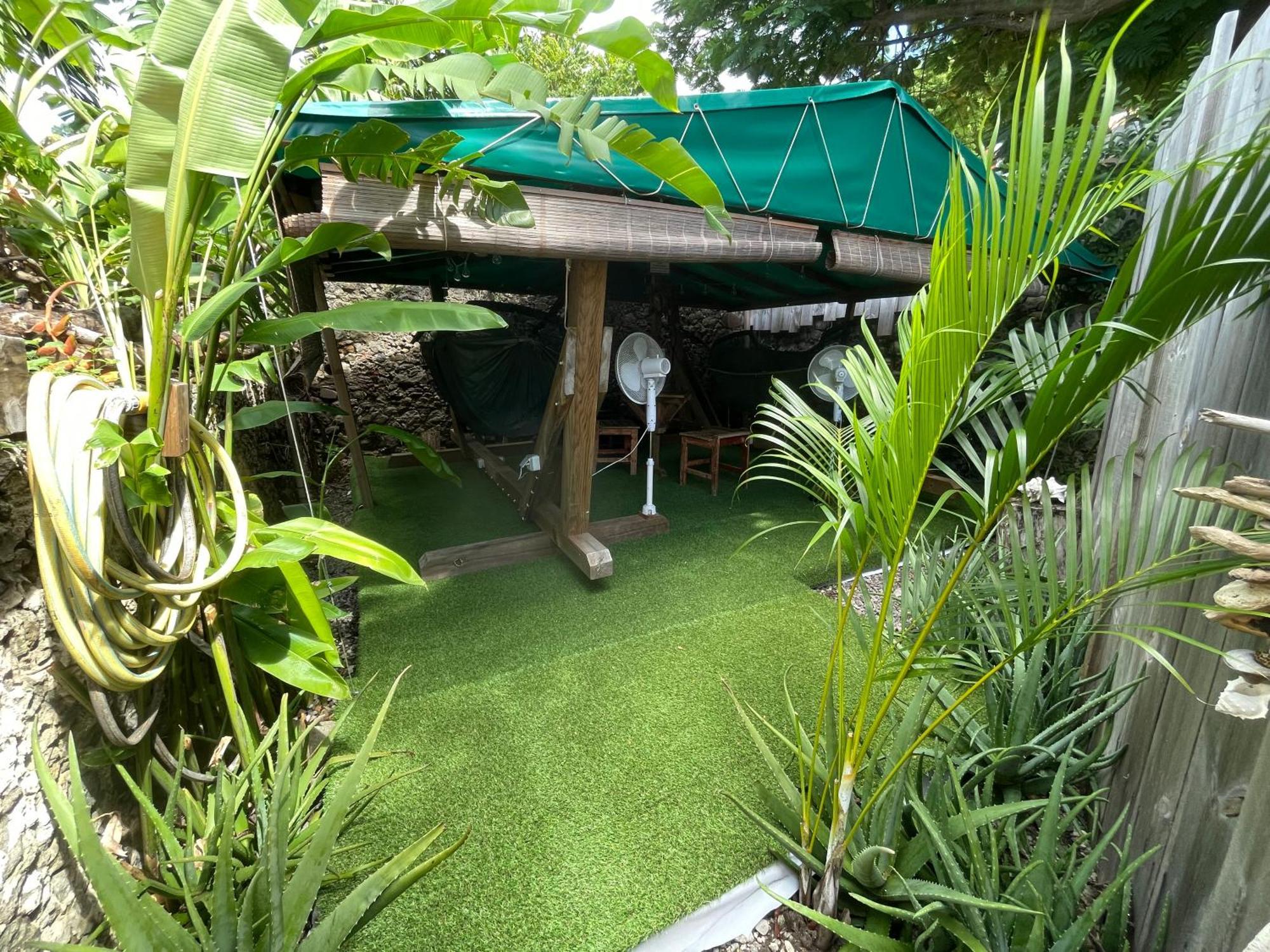 Hotel Les Hamacs Aux Saintes Terre-De-Haut Exteriér fotografie